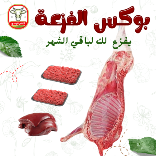 بوكس الفزعة