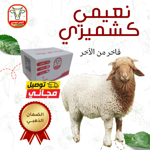 نعيمي كشميري فاخر 11-12 ك
