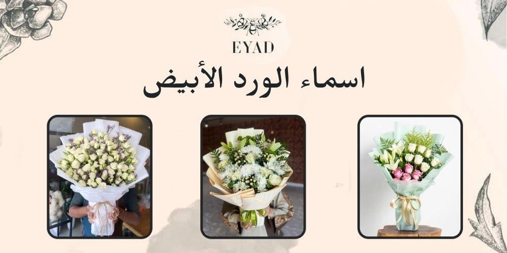 اسماء الورد الأبيض