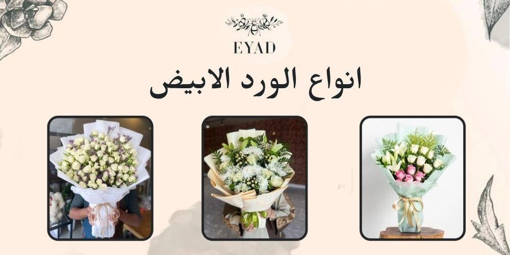 أنواع الورد الأبيض