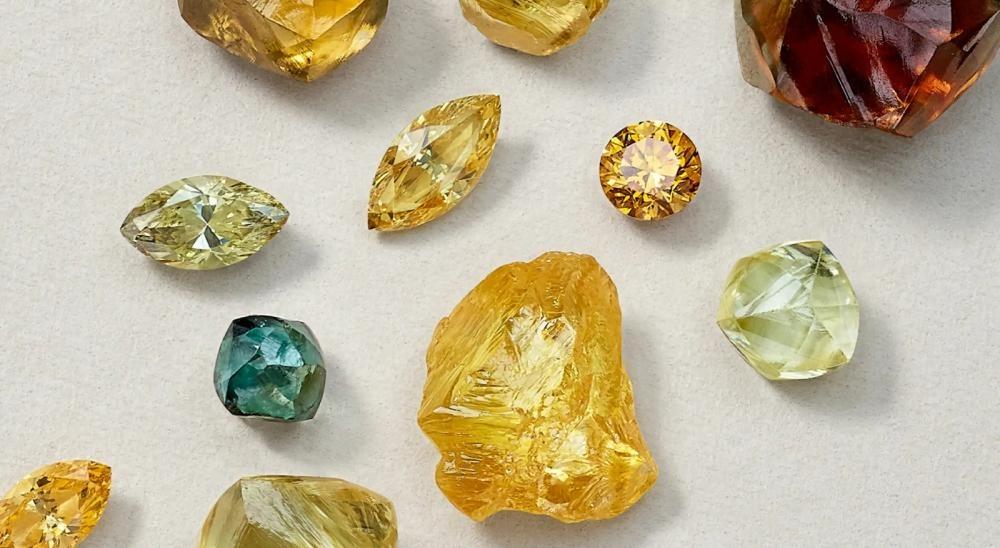 مقارنة شاملة لمساعدتك في اختيار الأنسب