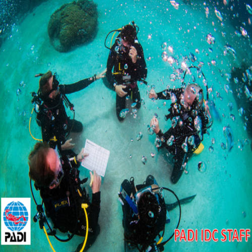 رسوم تدريب دورة عضو إعداد المدربين