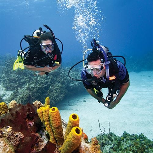 التعليم الإلكتروني eLearning - دورة تخصص الطفو المثالي رقم المنتج 1-60481