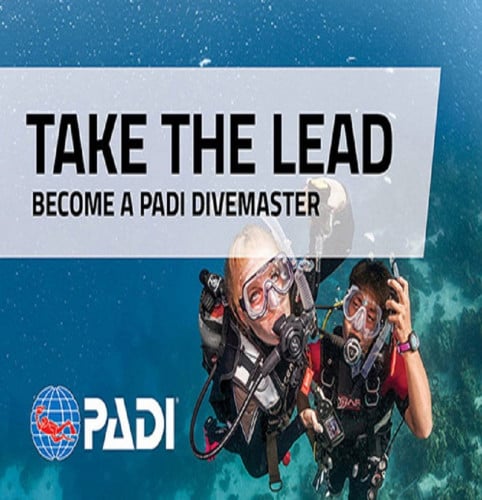 رسوم تدريب دورة مرشد غوص