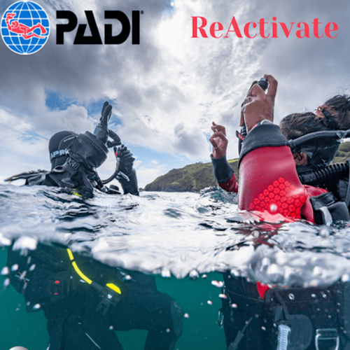 رسوم تدريب برنامج إعادة تنشيط