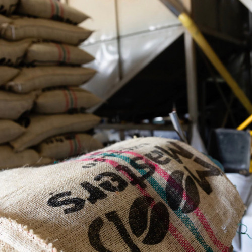 مبيعات الجملة