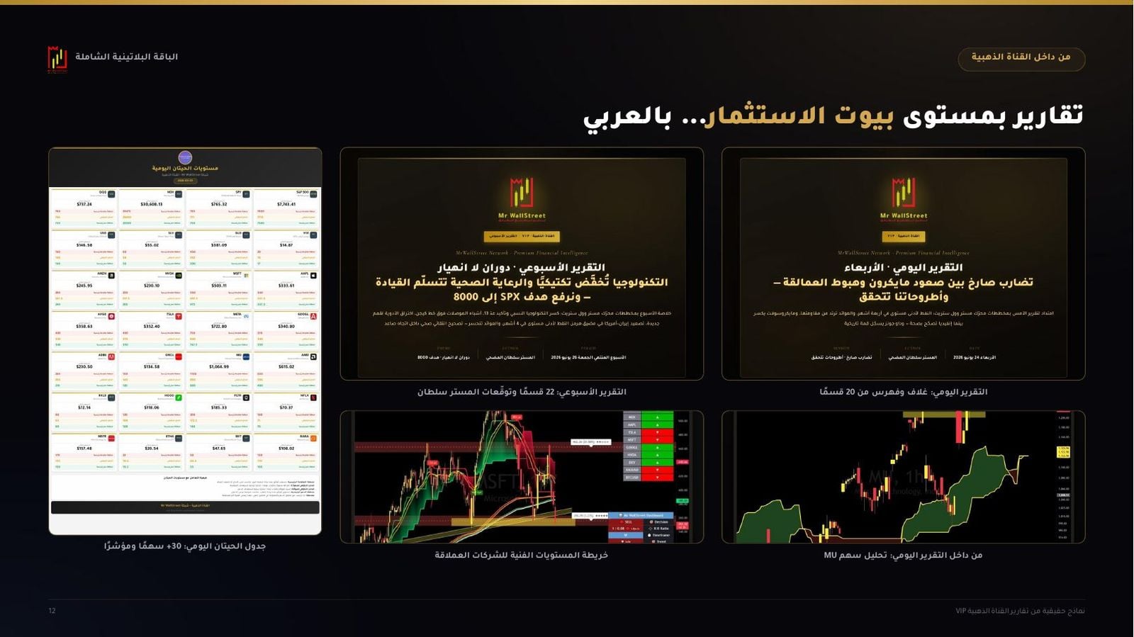 تقارير القناة الذهبية
