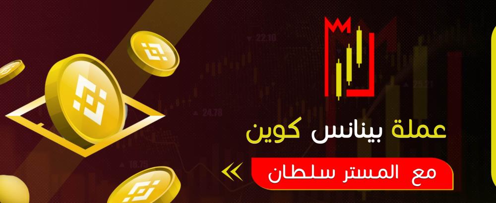 عملة بينانس كوين