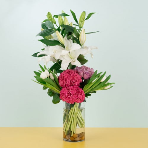 فازة بانسي بيتالز