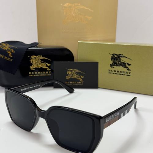 نظارة بربري 6