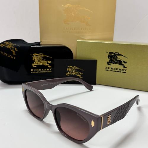 نظارة بربري 13