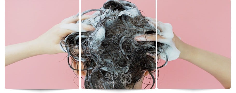 كيفية الغسل المثلى: هل يفضل غسل الشعر بكثرة أم قلة؟