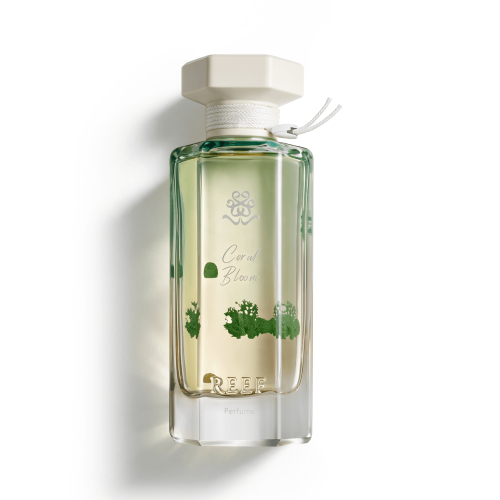 Reef Perfumes Offers with Fast Delivery – Limited Time! | Reef