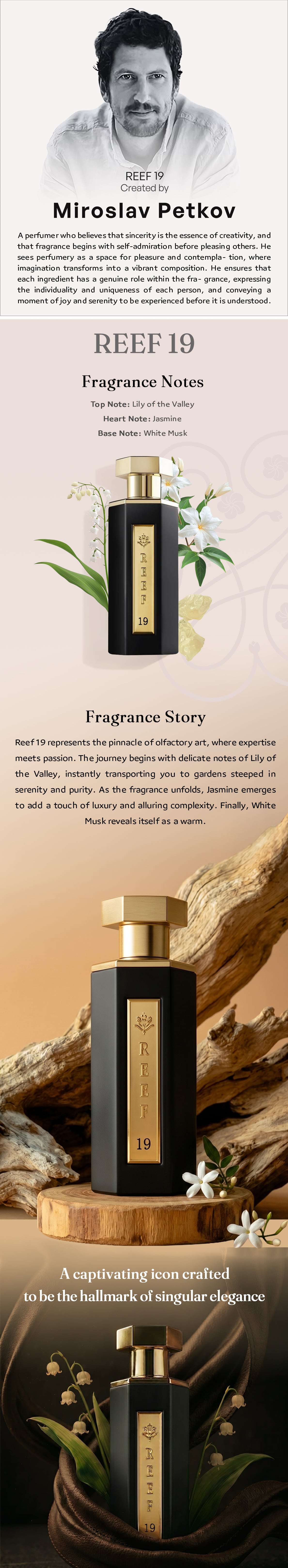 Reef 19 – Top Seller in Saudi & Gulf with Trusted Fans - Reef Perfumes