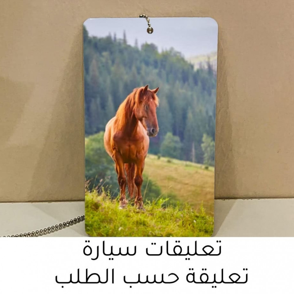 تعليقات سيارة بالاسم و الصور تعليقة حسب الطلب من اختيارك