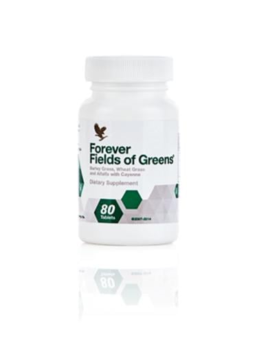 فوريفر فيلدز اوف جرينز forever fildsof greens