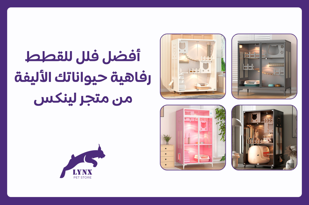 أفضل فيلل فاخرة للقطط: الرفاهية التي تستحقها حيواناتك الأليفة من متجر لينكس