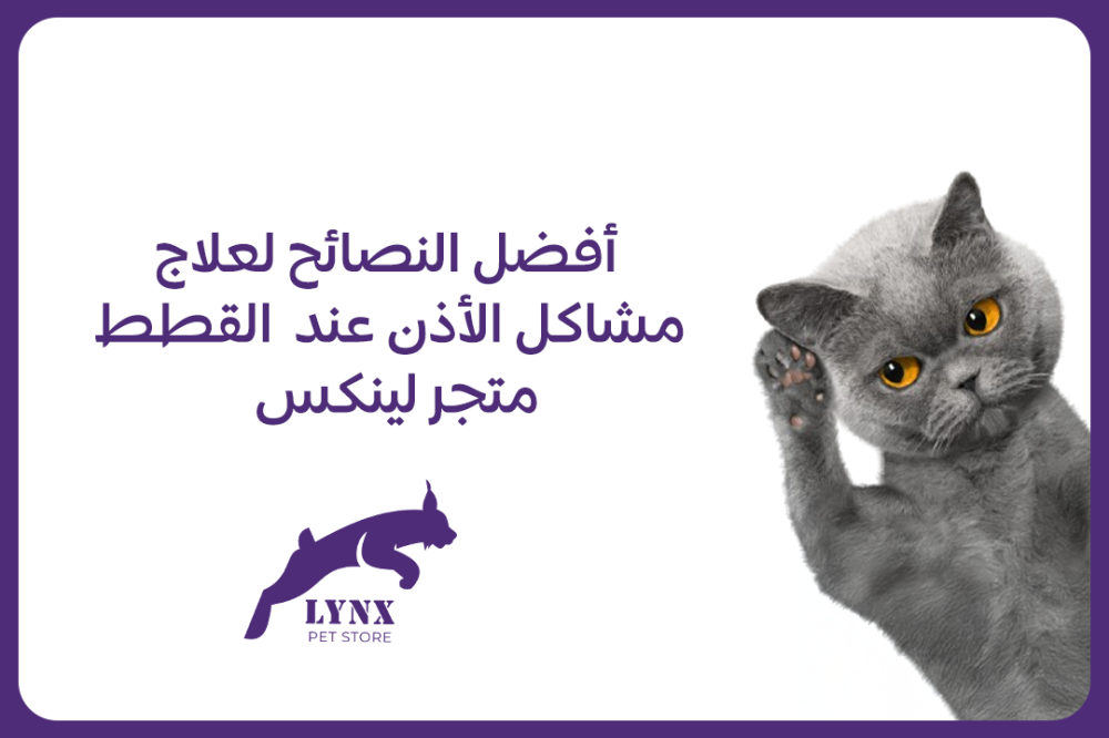 أفضل النصائح لعلاج مشاكل الأذن عند  القطط - متجر لينكس