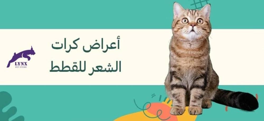 الوقاية من انسداد الأمعاء بسبب كرات الشعر
