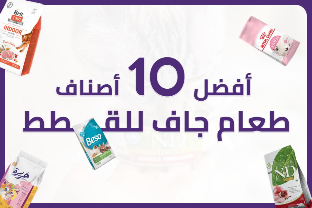 أفضل 10 أنواع طعام جاف للقطط : احصل على التغذية المثالية - متجر لينكس