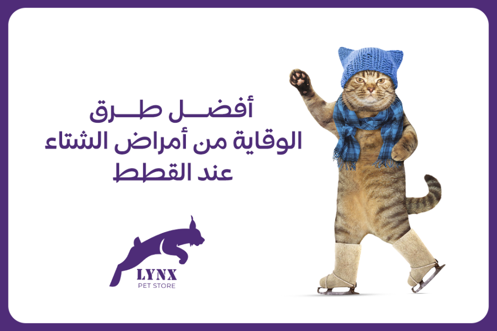 أفضل طرق الوقاية من أمراض الشتاء عند القطط- متجر لينكس