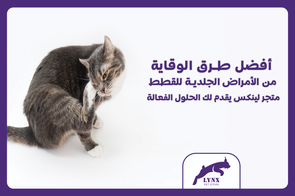 أفضل طرق الوقاية من الأمراض الجلدية لدى القطط - متجر لينكس يقدم لك الحلول الفعالة