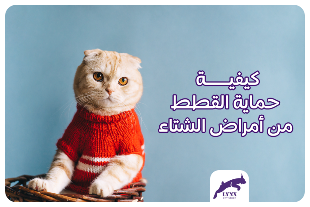 كيفية حماية القطط من أمراض الشتاء - متجر لينكس
