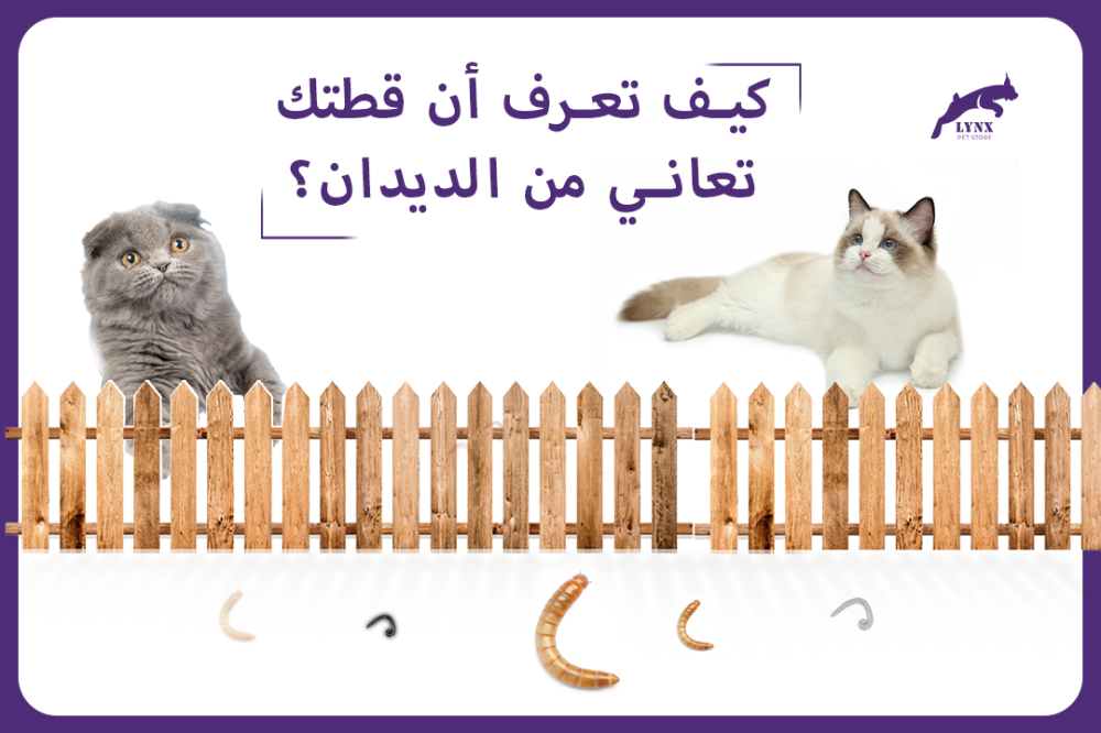 كيف تعرف أن قطتك تعاني من ديدان؟ - متجر لينكس