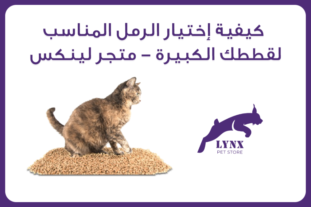كيفية إختيار الرمل المناسب لقططك الكبيرة - متجر لينكس
