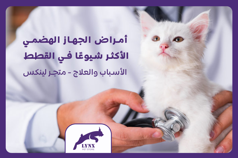 أمراض الجهاز الهضمي الأكثر شيوعًا في القطط: الأسباب والعلاج - متجر لينكس