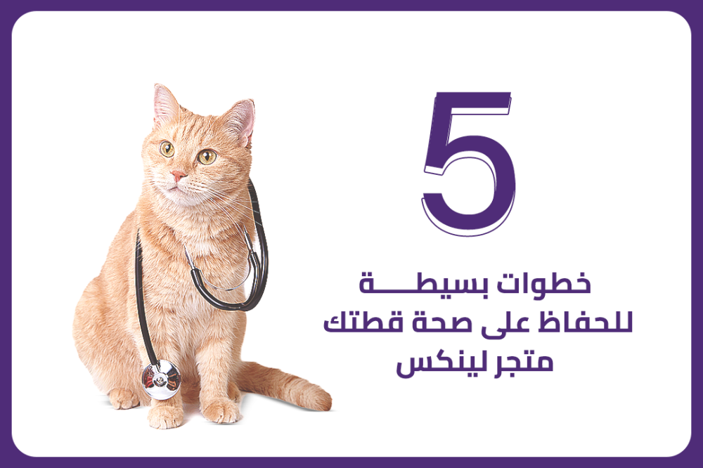 5 خطوات بسيطة للحفاظ على صحة قطتك - متجر لينكس