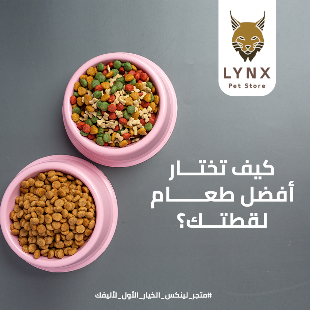 كيف تختار أفضل طعام لقطتك