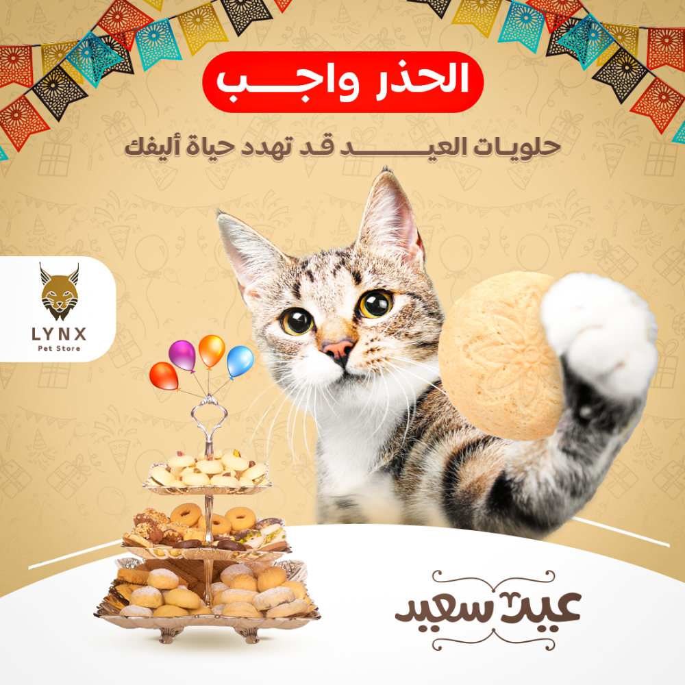 الحذر واجب : حلويات العيد قد تهدد حياة أليفك !
