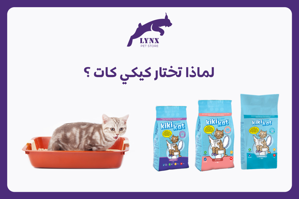 أفضل أنواع رمل القطط: لماذا تختار كيكي كات ؟