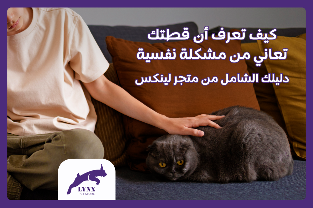 كيف تعرف أن قطتك تعاني من مشكلة نفسية؟ دليل شامل من متجر لينكس