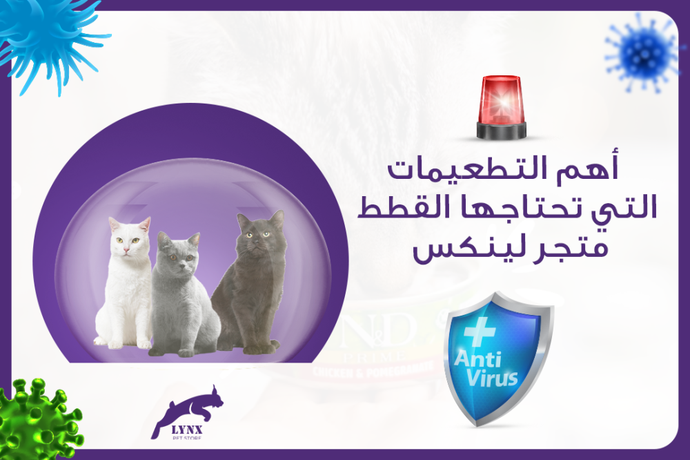 أهم التطعيمات التي تحتاجها القطط - متجر لينكس