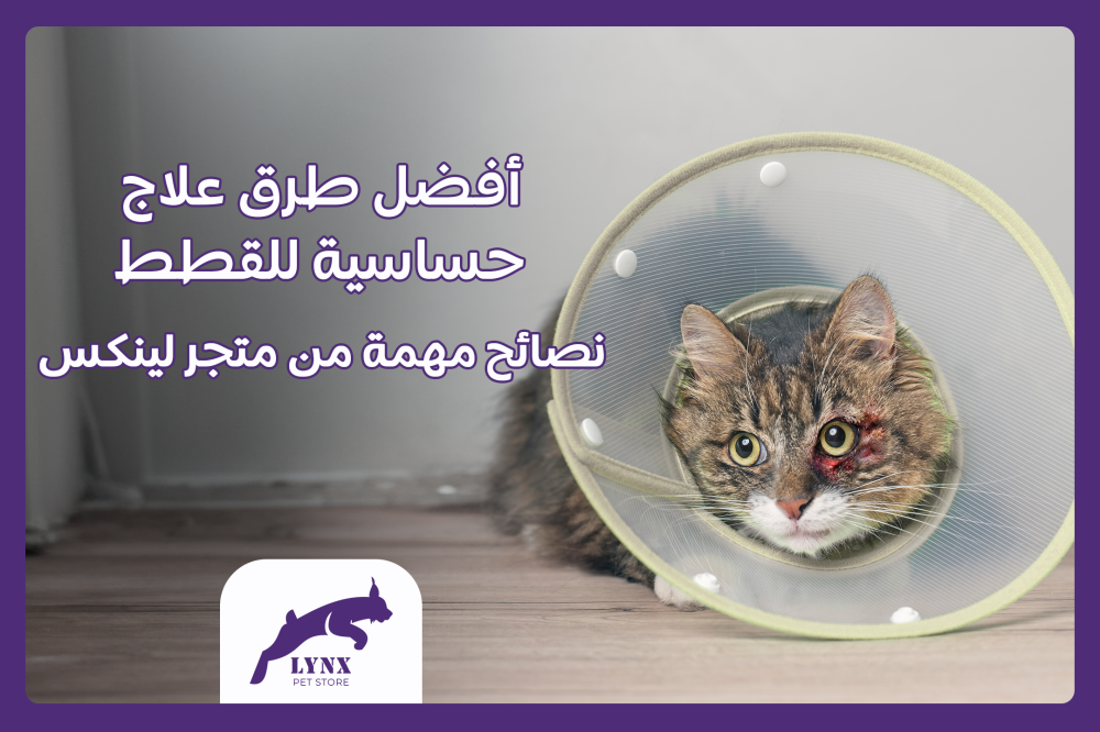 أفضل طرق علاج الحساسية الموسمية للقطط - نصائح مهمة من متجر لينكس