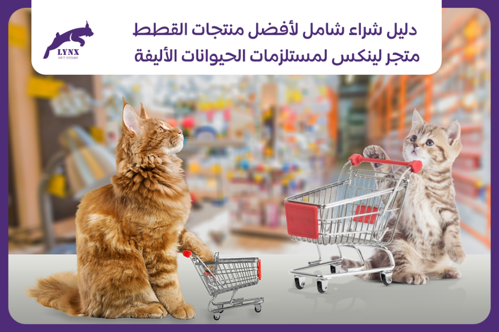 دليل شراء شامل لأفضل منتجات القطط - متجر لينكس لمستلزمات الحيوانات الأليفة