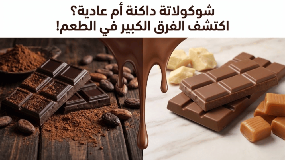 شوكولاتة داكنة أم عادية؟ اكتشف الفرق الكبير في الطعم!