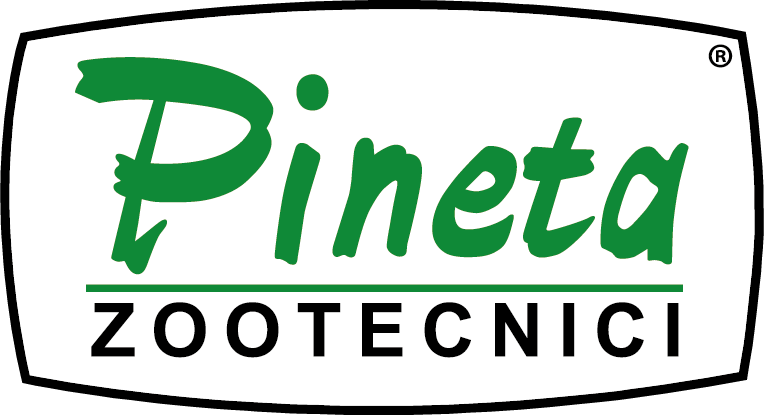 Pineta