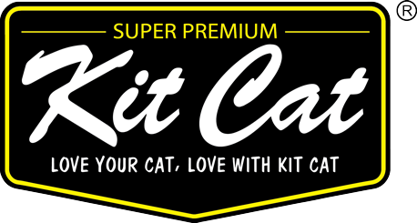 كت كات  Kit Cat International
