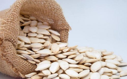 حب قرع صيني