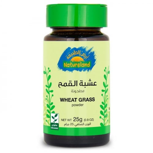 عشبة القمح - مطحونة 25جم عضوى
