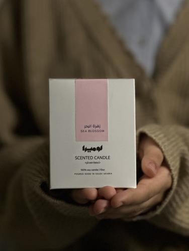 شمعة زهرة البحر