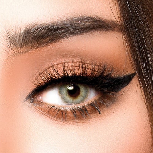 عدسات لارين فينيس- Venice