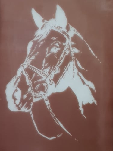 خيل (12) شاشة حريرية