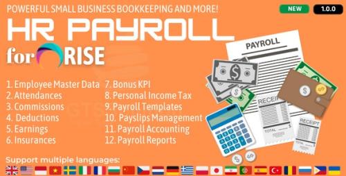 HR Payroll plugin for RISE CRM