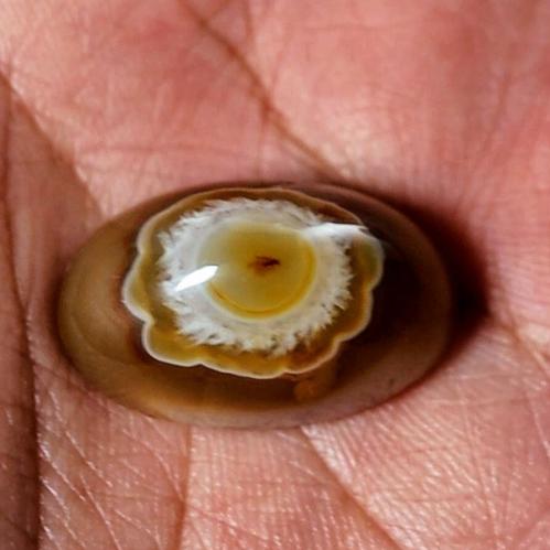 حجر عقيق سليماني هندي طبيعي عين فلور برموش داخلها نقطة حمراء نوادر