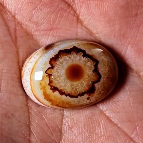 حجر عقيق سليماني هندي طبيعي فلور من النوادر