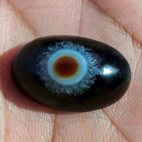 حجر سليماني هندي طبيعي أسود عين فلور في المنتصف برموش داخلها نقطة بني